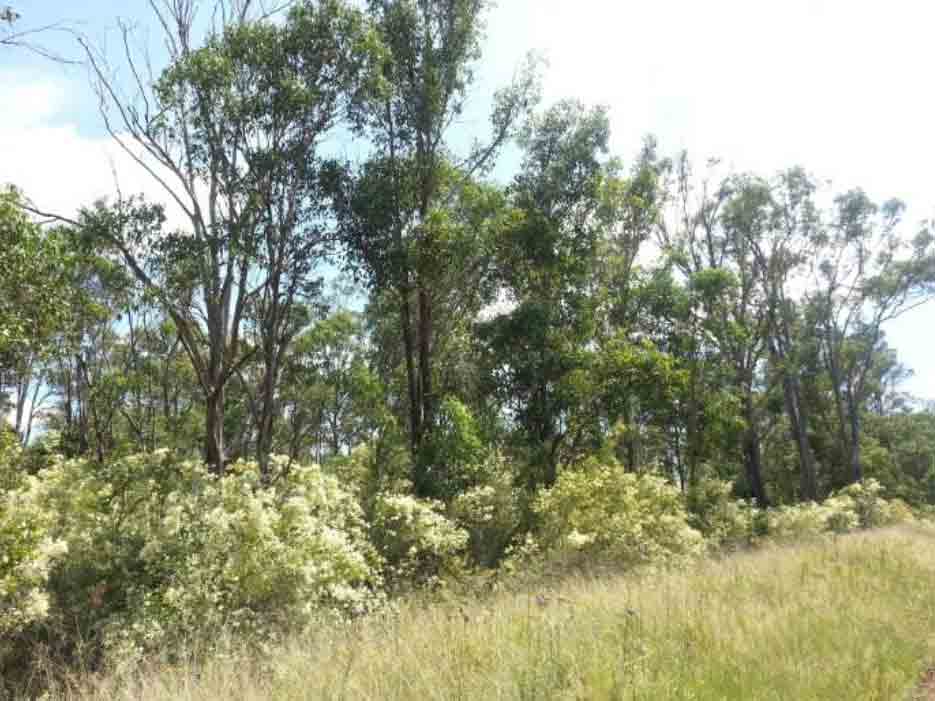 Environmentally sensitive areas of the Westlink M7